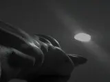 Cunt camshow webcam MassimoMorrone